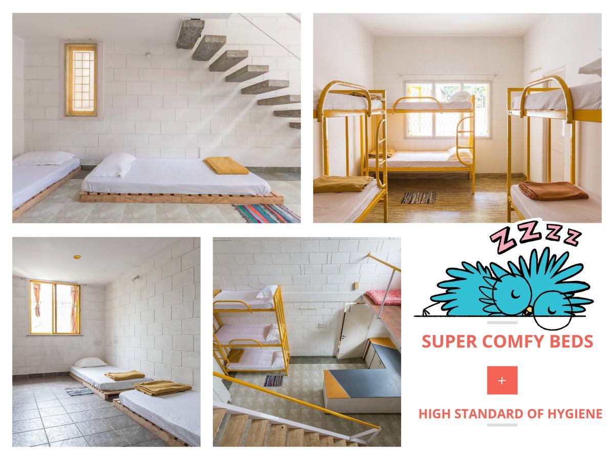 بنغالور Cuckoo Hostel المظهر الخارجي الصورة